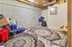 4 Claridge, Bolingbrook, IL 60440