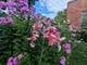 6727 N Maplewood, Chicago, IL 60645