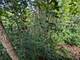 Lot 01-047 Thornridge, Marseilles, IL 61341