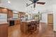 10036 S Tripp, Oak Lawn, IL 60453