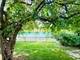 1303 Flowerfield, Naperville, IL 60565