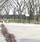 8901 N Western Unit 211, Des Plaines, IL 60016