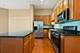 1250 S Indiana Unit 105, Chicago, IL 60605