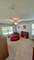 40431 N Fairview, Antioch, IL 60002