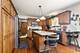 16221 Kingsport, Orland Park, IL 60467