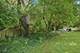 616 Pinehurst, North Aurora, IL 60542