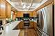250 S Oak, Palatine, IL 60067