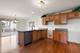 687 Grace, New Lenox, IL 60451