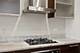 1636 N Rockwell Unit 401, Chicago, IL 60647
