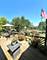 2202 Riverside, Plainfield, IL 60586