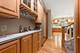 12444 Lake View, Orland Park, IL 60467