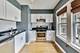 1521 W Nelson, Chicago, IL 60657