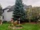 7509 Waterstone, Naperville, IL 60565
