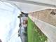 2121 N Marmora, Chicago, IL 60639