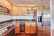 850 N Dewitt Unit 20E, Chicago, IL 60611