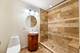 2545 S Dearborn Unit 332, Chicago, IL 60616