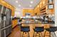 4631 S Calumet Unit 1N, Chicago, IL 60653