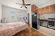 1100 N Lasalle Unit 1620, Chicago, IL 60610