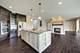 3907 Nannyberry, Naperville, IL 60564
