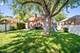 9209 S 53rd, Oak Lawn, IL 60453