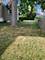 18 E Wood, Palatine, IL 60067