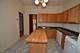 3339 N Seminary Unit 1, Chicago, IL 60657