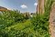 2436 S Pulaski, Chicago, IL 60623