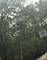 7 Autumn, Barrington Hills, IL 60010