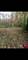 7 Autumn, Barrington Hills, IL 60010