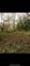 7 Autumn, Barrington Hills, IL 60010
