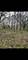 7 Autumn, Barrington Hills, IL 60010