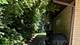 6027 S Lincoln, Lisle, IL 60532