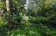 3816 Riverside, Crystal Lake, IL 60014