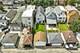 2053 N Lorel, Chicago, IL 60639