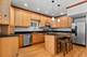 4515 N Drake, Chicago, IL 60625