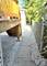 8633 S Hermitage, Chicago, IL 60620