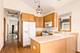 4042 N Overhill, Norridge, IL 60706