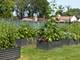 111 Acacia Unit 508, Indian Head Park, IL 60525