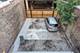 3547 N Sheffield Unit 2, Chicago, IL 60613