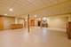 313 Louisa, Shorewood, IL 60404