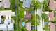 6805 Westmoreland, Woodridge, IL 60517