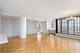 345 N Canal Unit 1204, Chicago, IL 60606