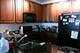 1255 S State Unit 1414, Chicago, IL 60605