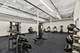1453 Maple Unit 203, Evanston, IL 60201