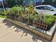 1140 W Barry Unit 1, Chicago, IL 60657