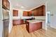1155 W Roosevelt Unit 412, Chicago, IL 60608