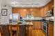 331 S Ridgeland Unit B, Oak Park, IL 60302