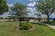 12220 Pear Tree, Plainfield, IL 60585