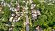 150 Hickory, Chicago Heights, IL 60411