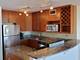 340 W Diversey Unit 2718, Chicago, IL 60657